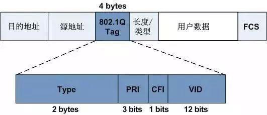 香蕉视频APP导航的VLAN技术