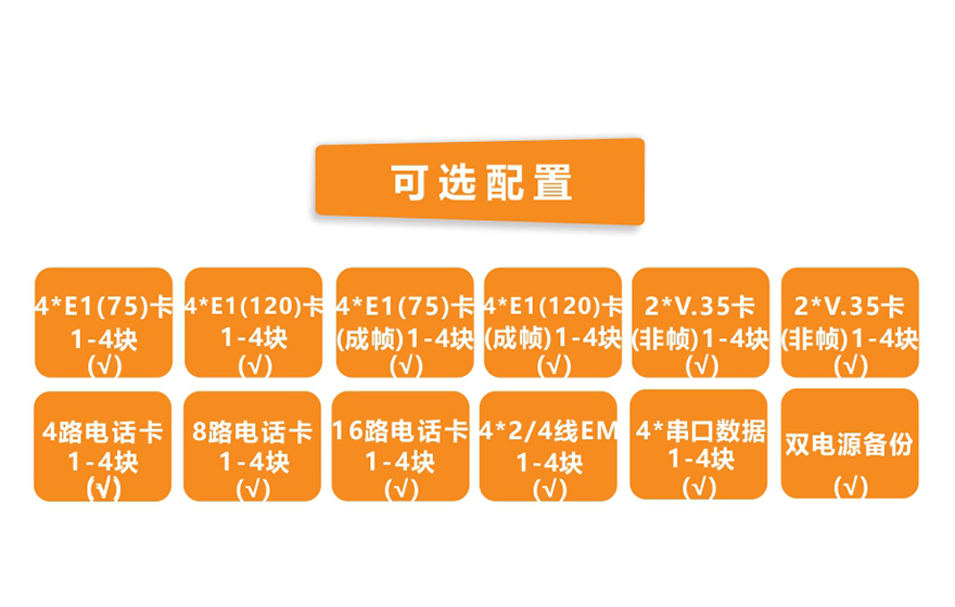 香蕉视频91黄片科技-模块化多业务  TDM Over IP  电路仿真网关